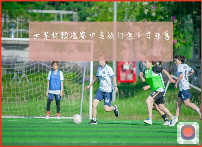 世界杯预选赛中乌战门票今日开售