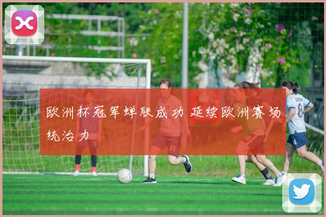 欧洲杯冠军蝉联成功 延续欧洲赛场统治力