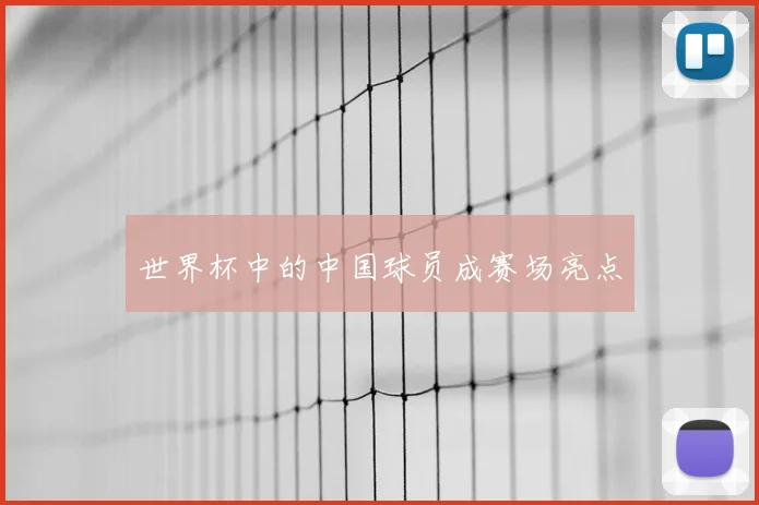 世界杯中的中国球员成赛场亮点