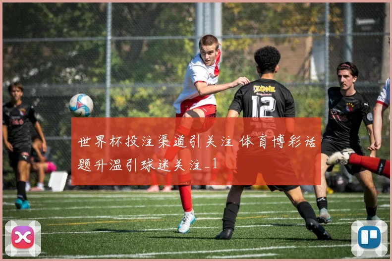 世界杯投注渠道引关注 体育博彩话题升温引球迷关注_1