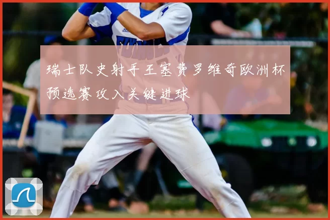 瑞士队史射手王塞费罗维奇欧洲杯预选赛攻入关键进球